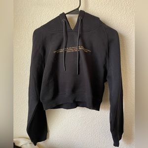 Alphalete Crop Hoodie